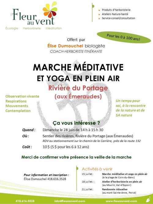 affiche marche méditative 28 juin 2015