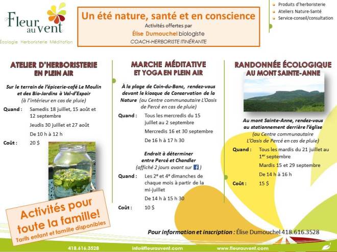 L'été avec Fleur au vent