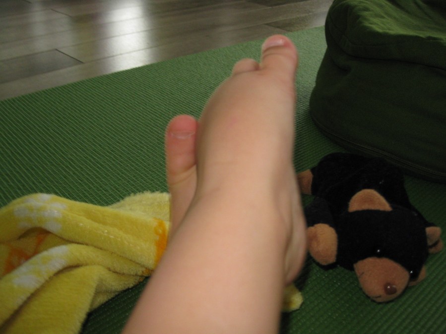 Coussin, couverture, tapis, toutou