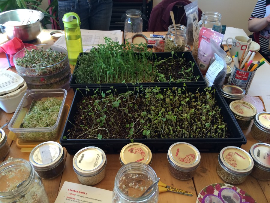 Germinations et pousses au menu